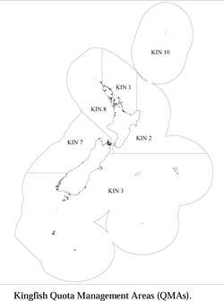 kingfish management areas