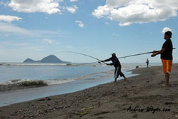 beach casting for kahawai