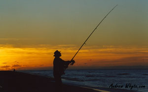 beach surfcasting for kahawai
