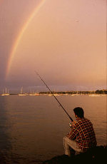 Click here to download larger image